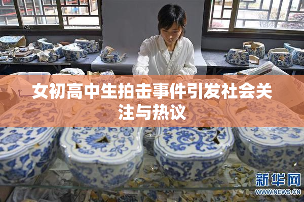 女初高中生拍击事件引发社会关注与热议