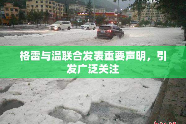 格雷与温联合发表重要声明，引发广泛关注