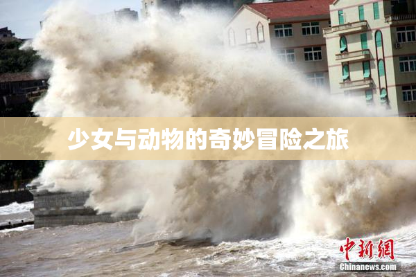 少女与动物的奇妙冒险之旅