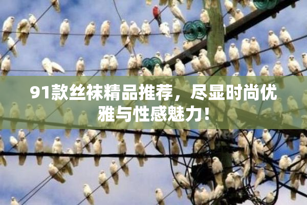 91款丝袜精品推荐，尽显时尚优雅与性感魅力！