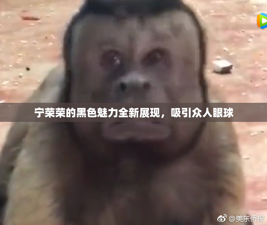 宁荣荣的黑色魅力全新展现，吸引众人眼球