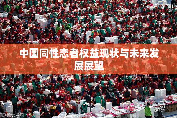 中国同性恋者权益现状与未来发展展望