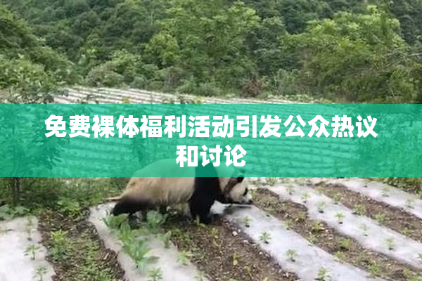 免费裸体福利活动引发公众热议和讨论