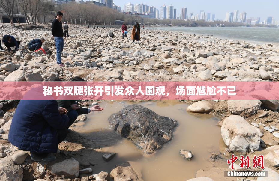 秘书双腿张开引发众人围观，场面尴尬不已