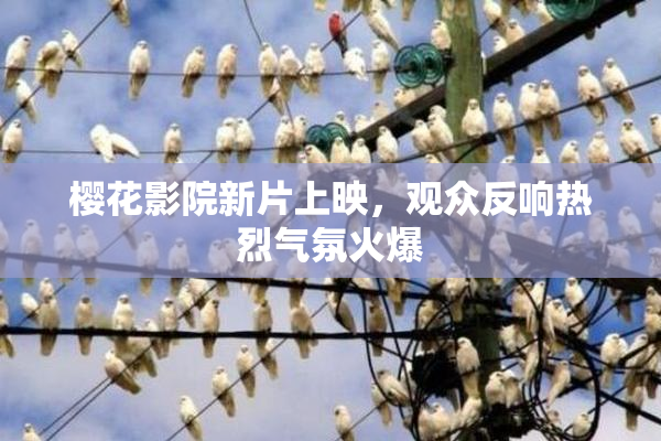 樱花影院新片上映，观众反响热烈气氛火爆