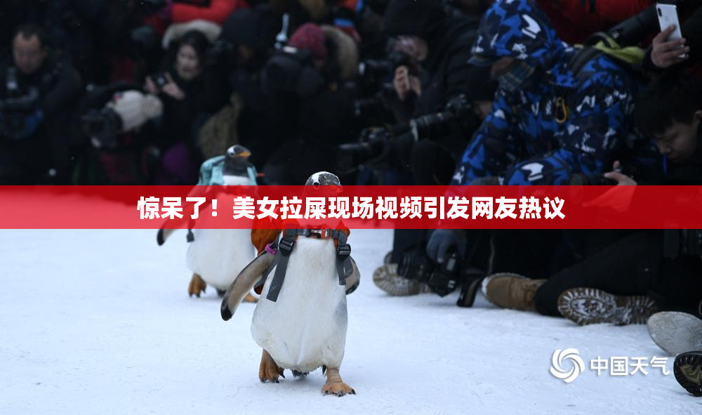 惊呆了！美女拉屎现场视频引发网友热议