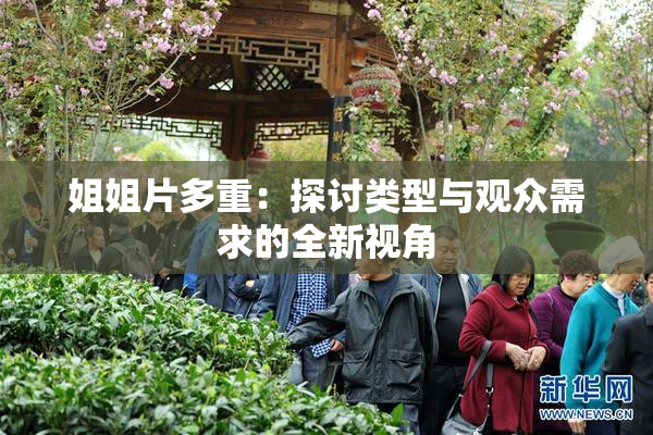 姐姐片多重：探讨类型与观众需求的全新视角