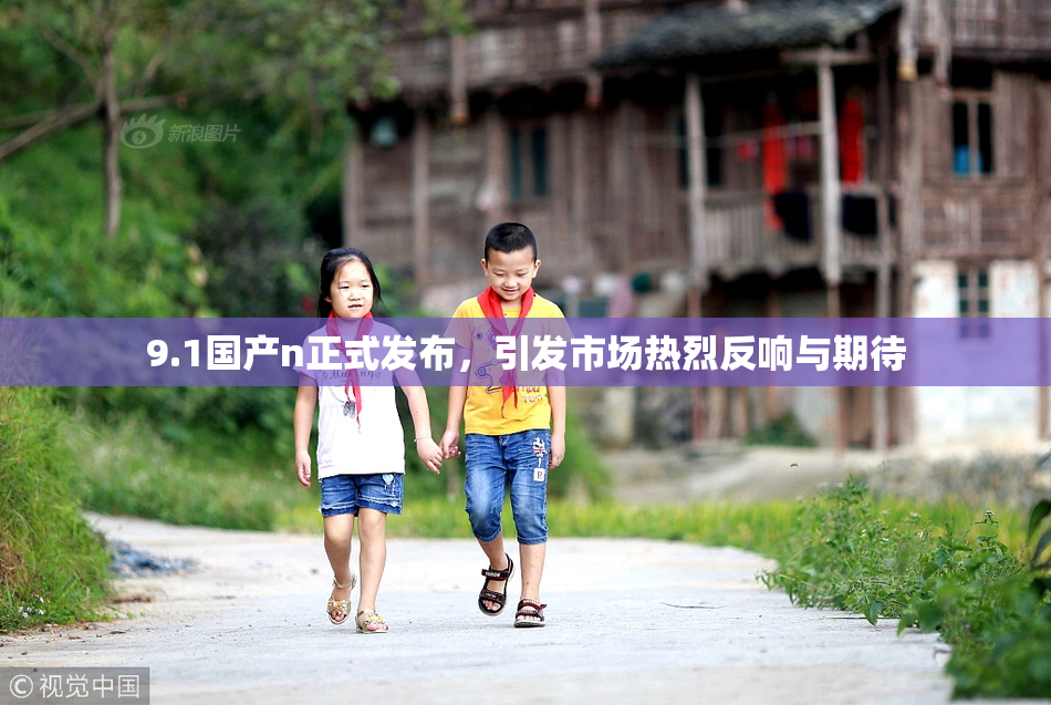 9.1国产n正式发布，引发市场热烈反响与期待