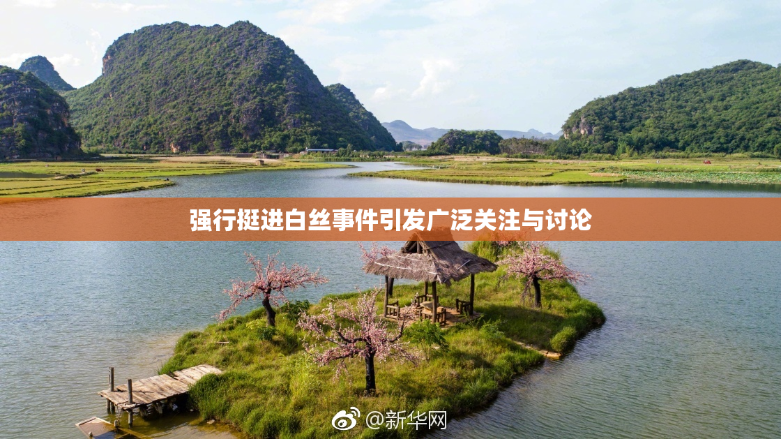 强行挺进白丝事件引发广泛关注与讨论