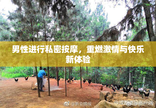 男性进行私密按摩，重燃激情与快乐新体验