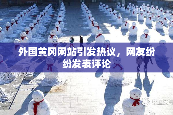 外国黄冈网站引发热议，网友纷纷发表评论