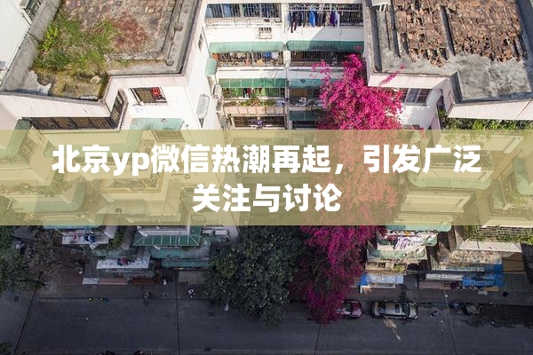 北京yp微信热潮再起，引发广泛关注与讨论