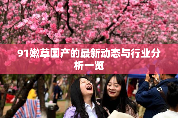 91嫩草国产的最新动态与行业分析一览