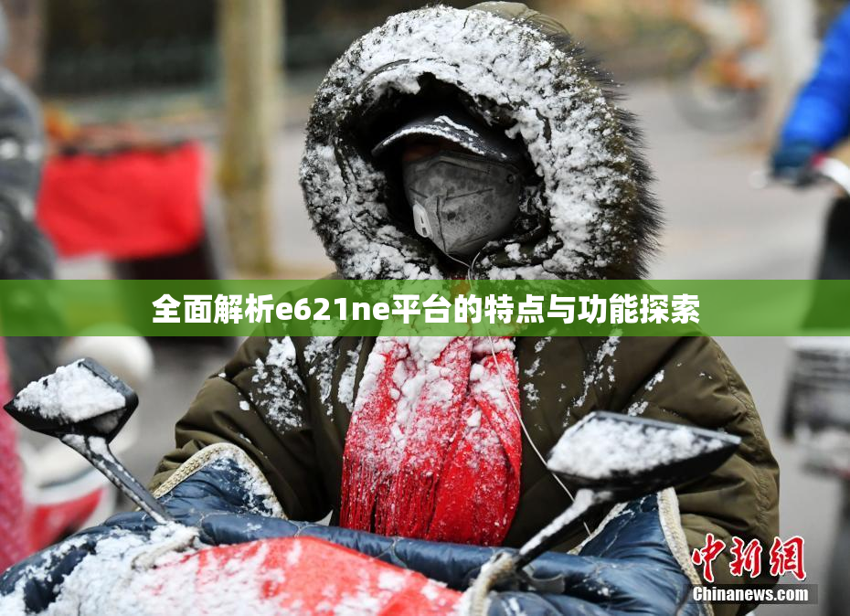 全面解析e621ne平台的特点与功能探索