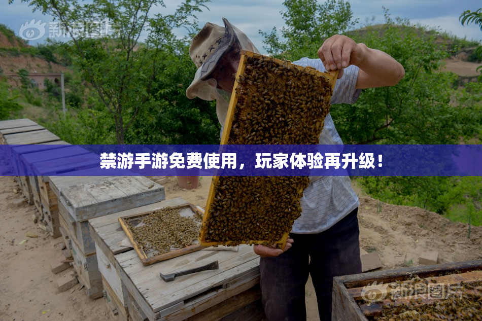 禁游手游免费使用，玩家体验再升级！