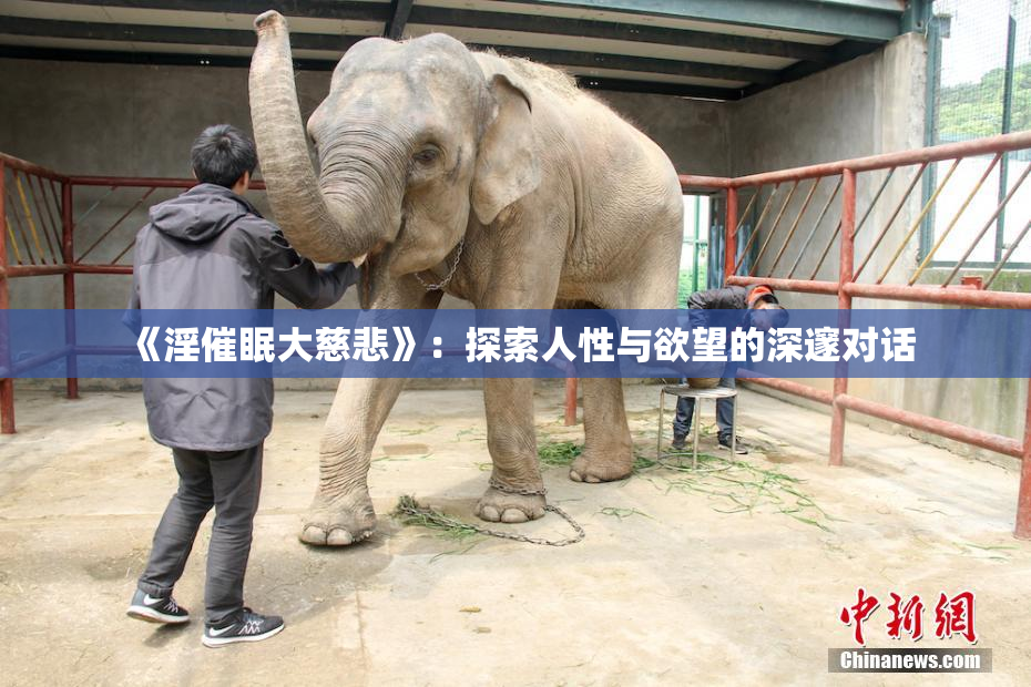《淫催眠大慈悲》：探索人性与欲望的深邃对话