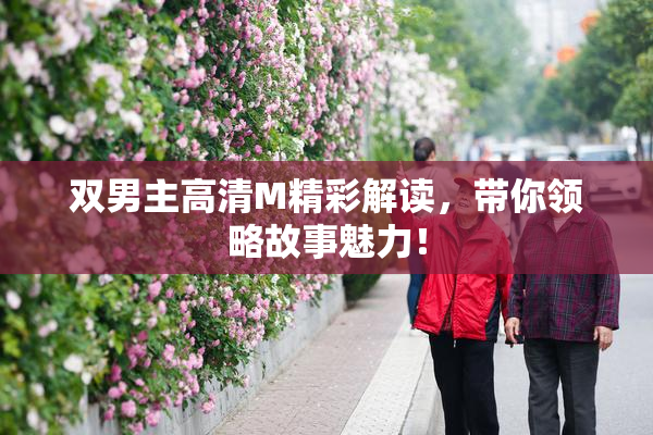 双男主高清M精彩解读，带你领略故事魅力！