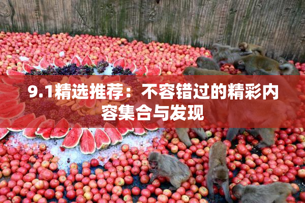 9.1精选推荐：不容错过的精彩内容集合与发现