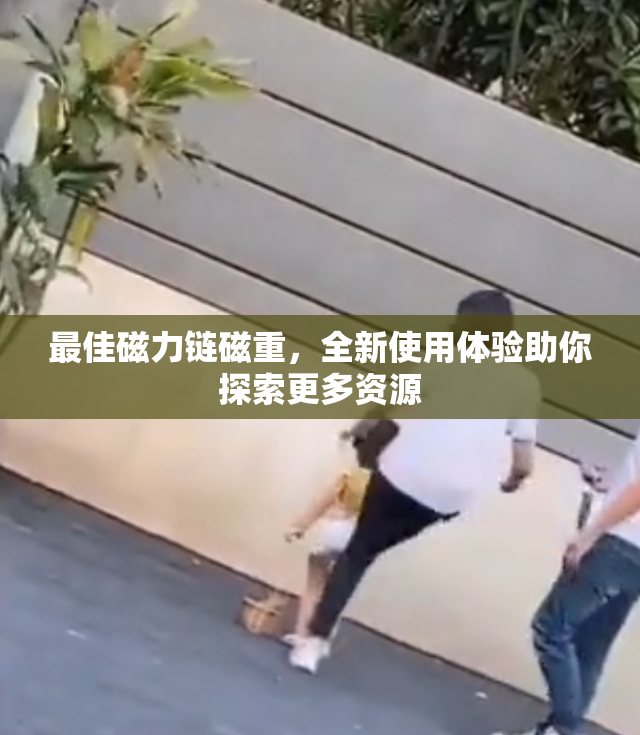 最佳磁力链磁重，全新使用体验助你探索更多资源