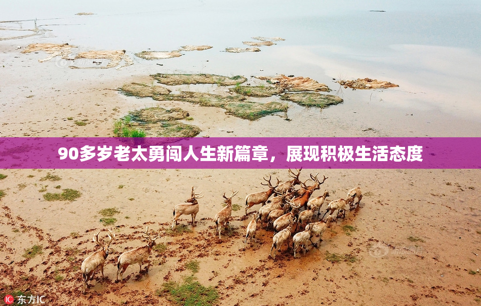 90多岁老太勇闯人生新篇章，展现积极生活态度