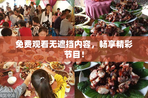 免费观看无遮挡内容，畅享精彩节目！