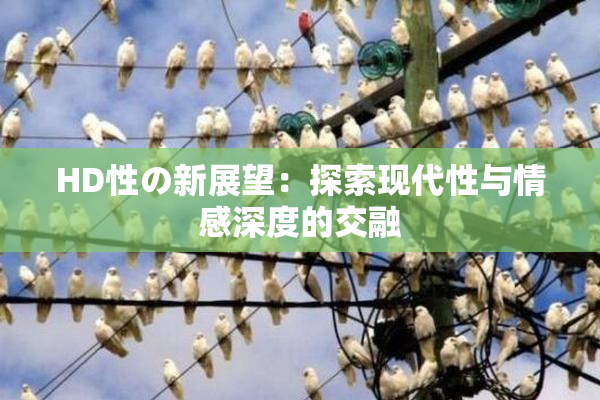HD性の新展望：探索现代性与情感深度的交融