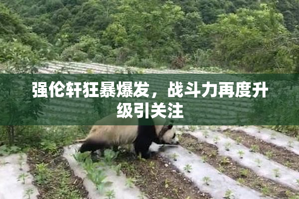 强伦轩狂暴爆发，战斗力再度升级引关注