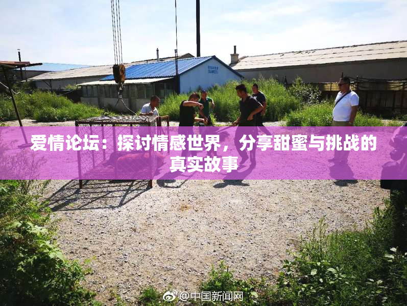 爱情论坛：探讨情感世界，分享甜蜜与挑战的真实故事