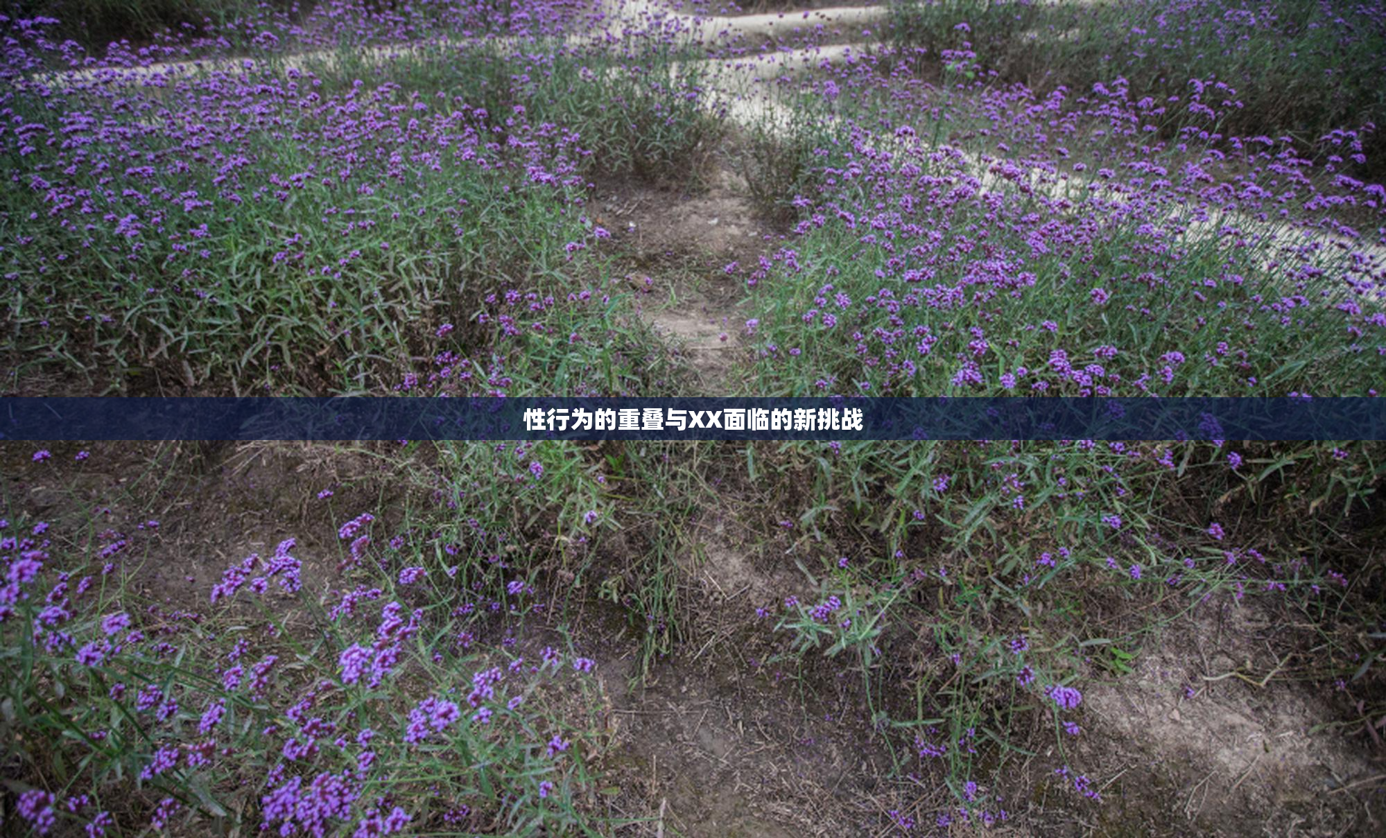 性行为的重叠与XX面临的新挑战