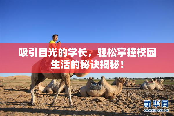 吸引目光的学长，轻松掌控校园生活的秘诀揭秘！
