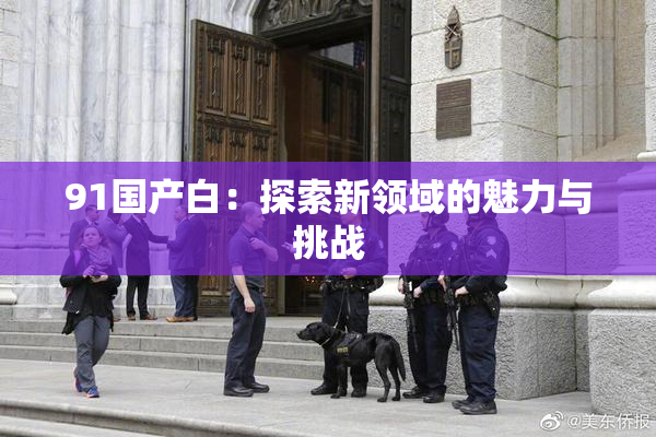91国产白：探索新领域的魅力与挑战