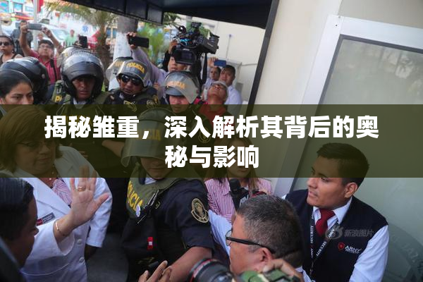 揭秘雏重，深入解析其背后的奥秘与影响