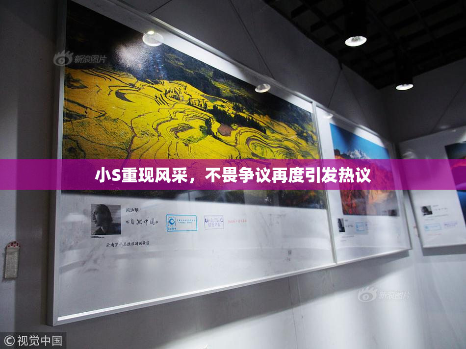 小S重现风采，不畏争议再度引发热议