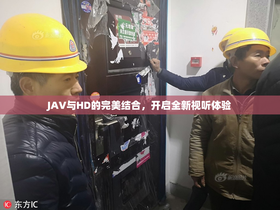 JAV与HD的完美结合，开启全新视听体验