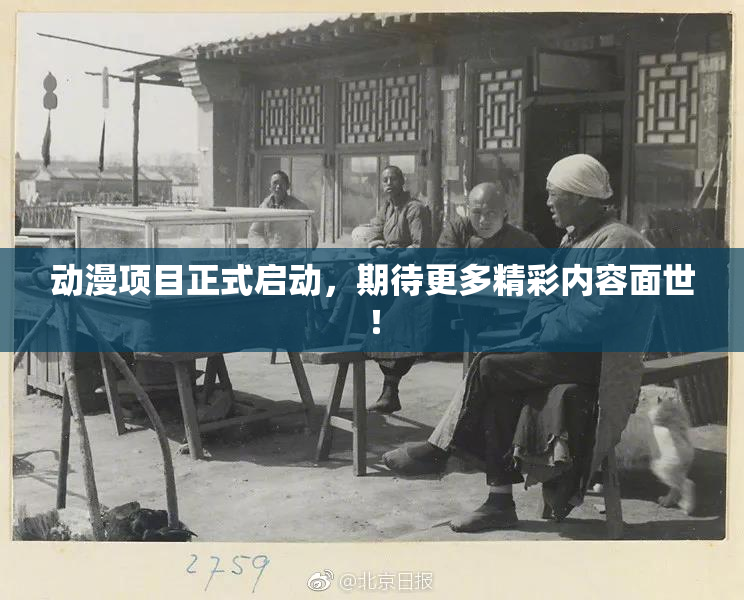 动漫项目正式启动，期待更多精彩内容面世！