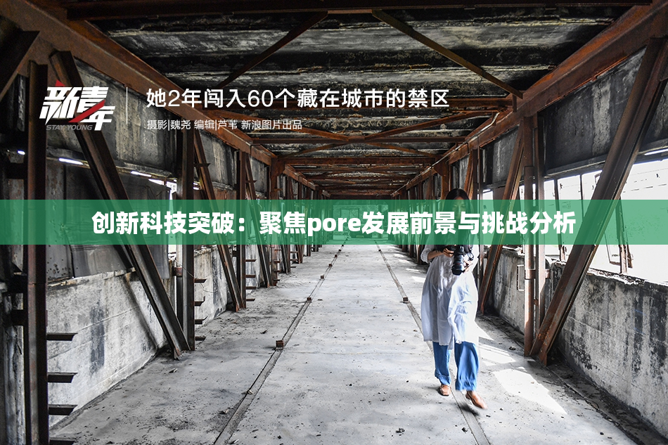 创新科技突破：聚焦pore发展前景与挑战分析
