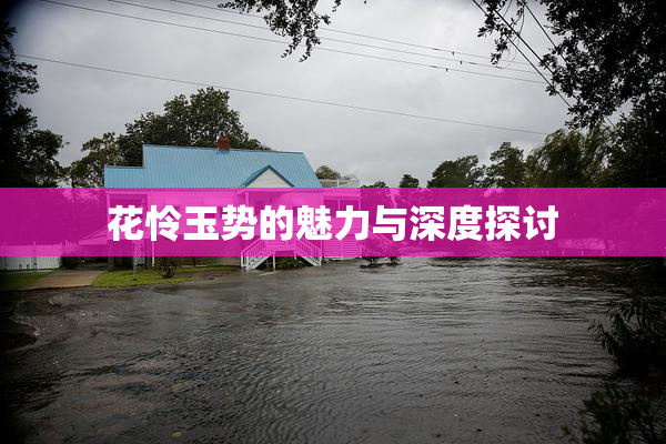 花怜玉势的魅力与深度探讨
