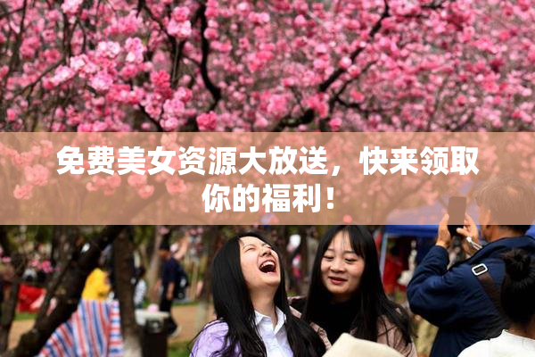 免费美女资源大放送，快来领取你的福利！