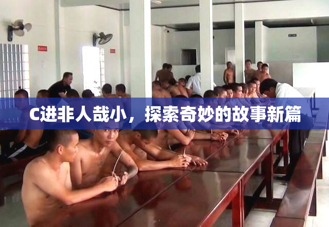 C进非人哉小，探索奇妙的故事新篇