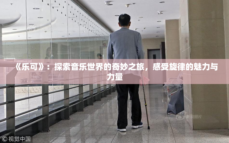 《乐可》：探索音乐世界的奇妙之旅，感受旋律的魅力与力量