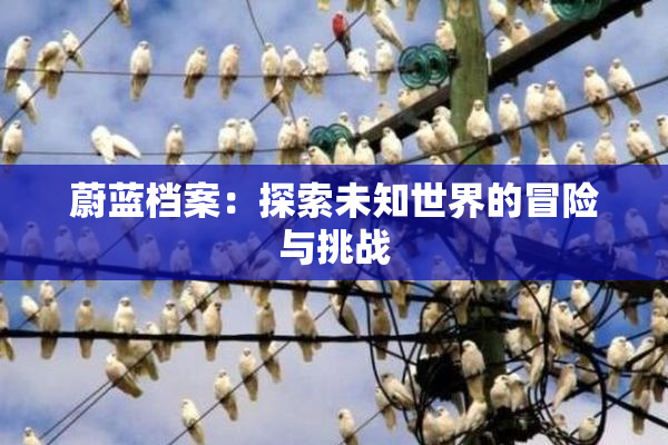 蔚蓝档案：探索未知世界的冒险与挑战