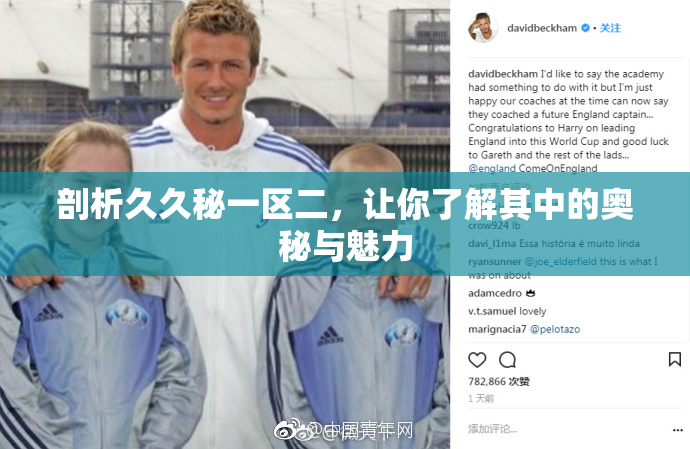 剖析久久秘一区二，让你了解其中的奥秘与魅力