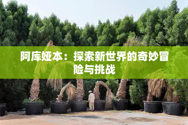 阿库娅本：探索新世界的奇妙冒险与挑战