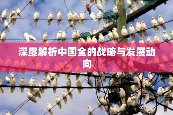 深度解析中国全的战略与发展动向