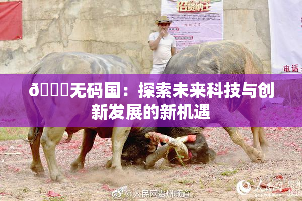 🔞无码国：探索未来科技与创新发展的新机遇
