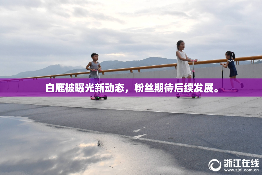 白鹿被曝光新动态，粉丝期待后续发展。
