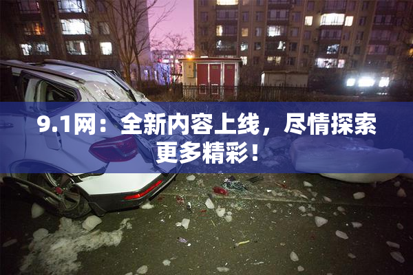 9.1网：全新内容上线，尽情探索更多精彩！