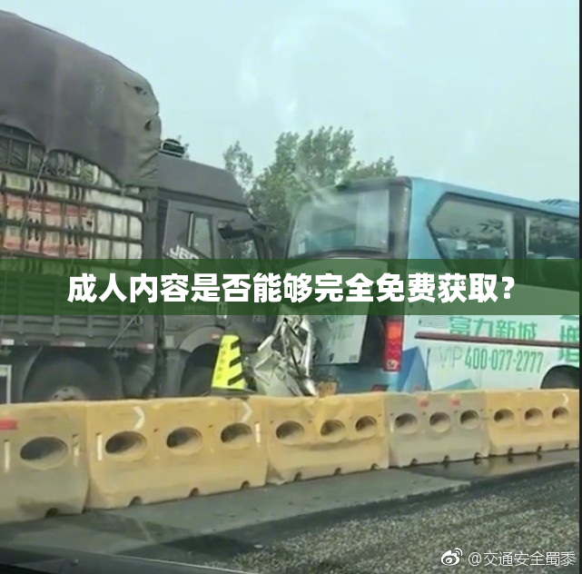 成人内容是否能够完全免费获取？