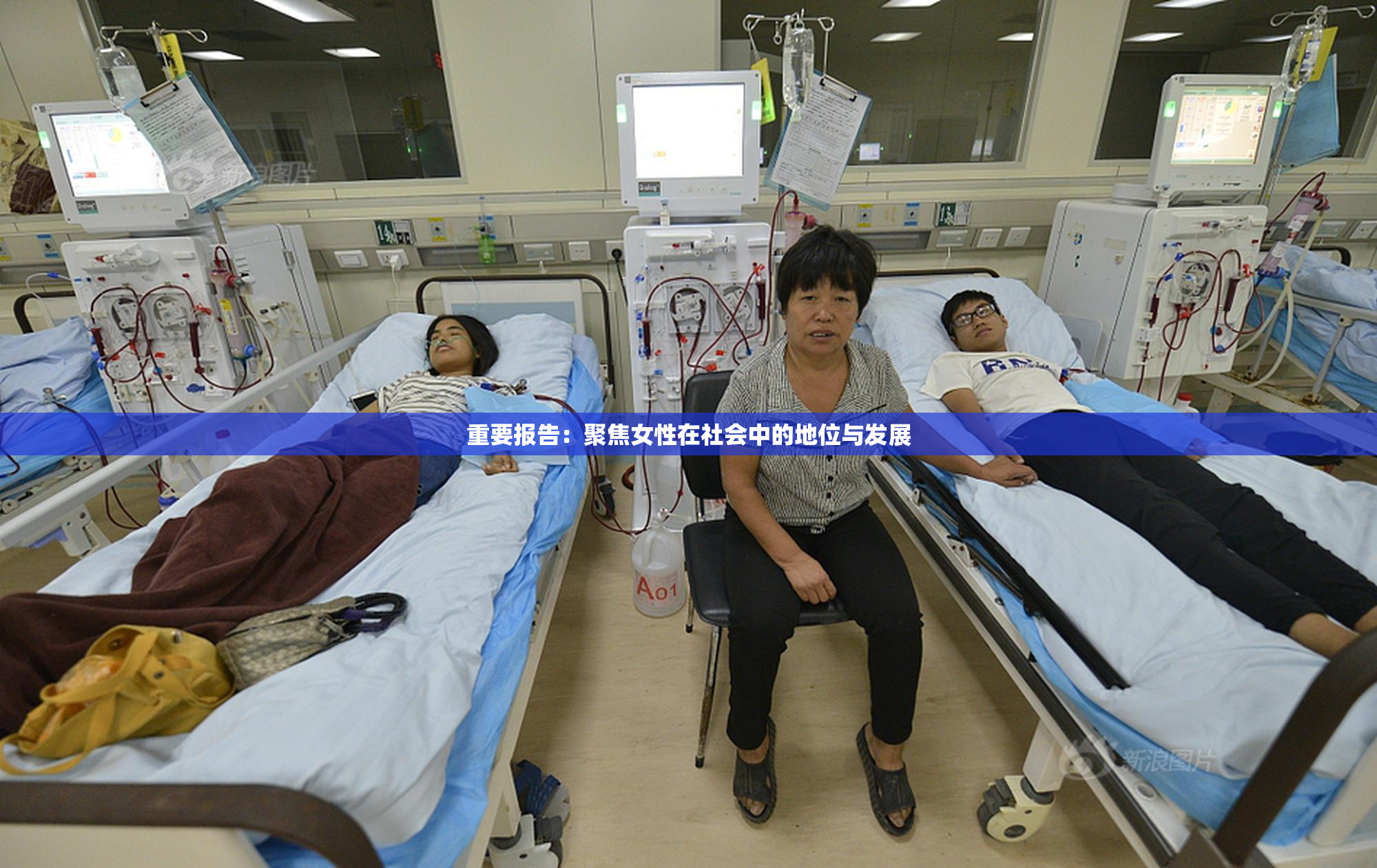 重要报告：聚焦女性在社会中的地位与发展