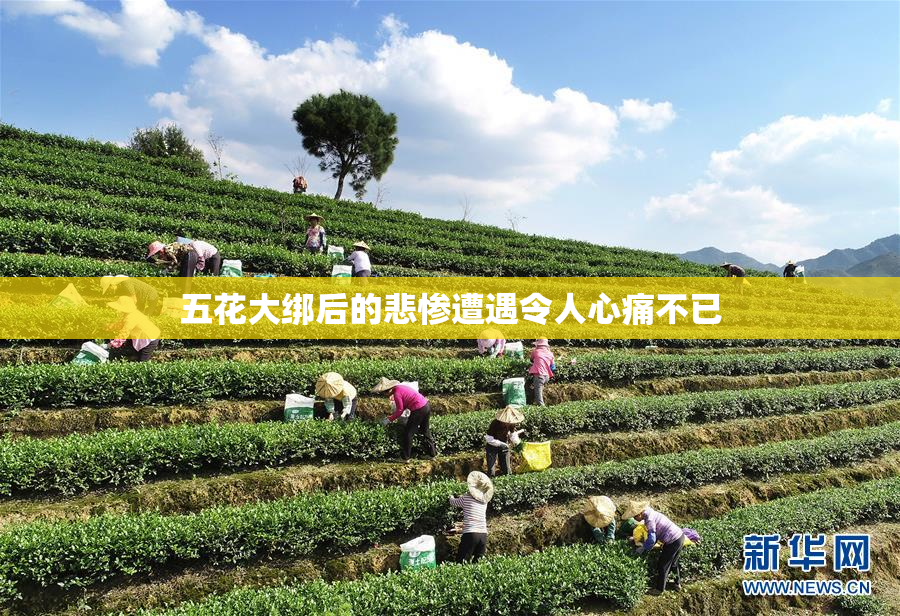 五花大绑后的悲惨遭遇令人心痛不已